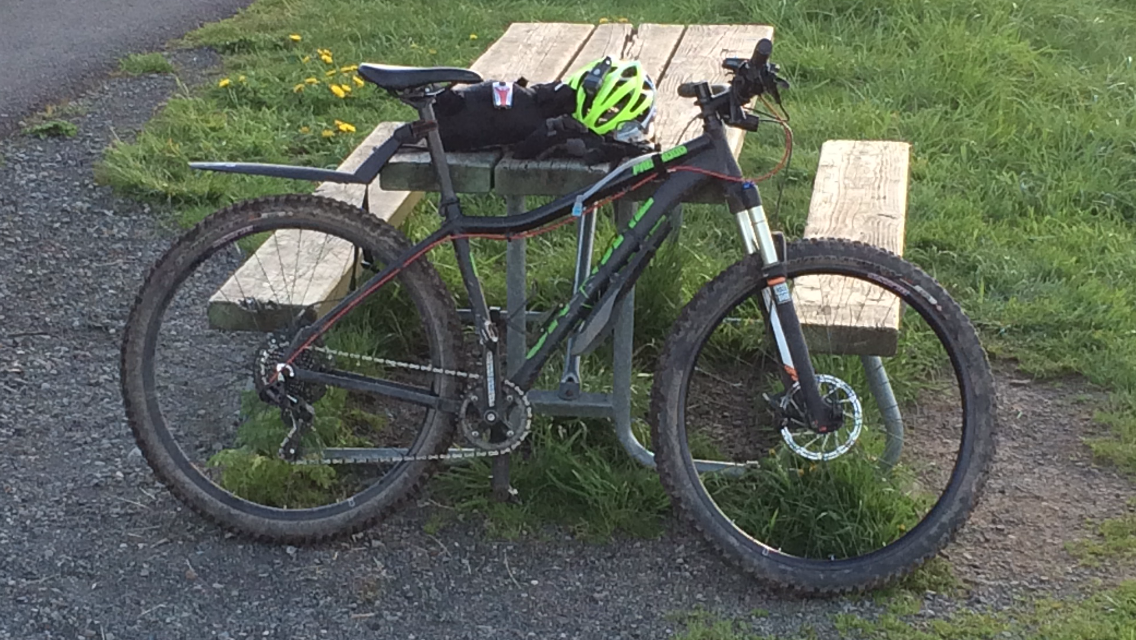 on one parkwood 29er review