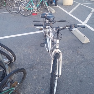 2012 Pacific Cycle Dualie Silver, gray or bare metal