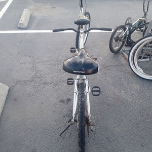 2012 Pacific Cycle Dualie Silver, gray or bare metal