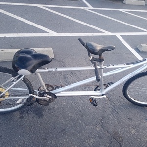 2012 Pacific Cycle Dualie Silver, gray or bare metal