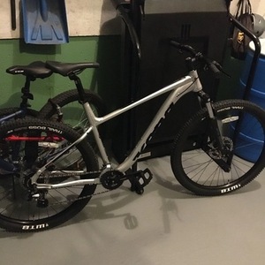 2021 Kona Lanai Silver, gray or bare metal