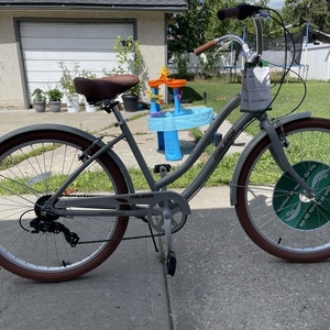 2024 Raleigh Cafe Brown