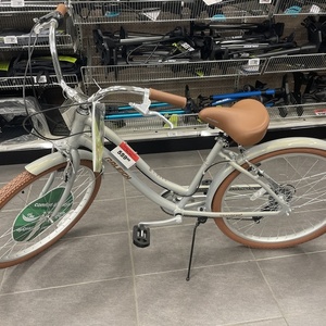 2024 Raleigh Cafe Brown