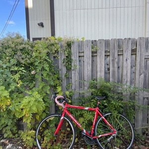 2007 Specialized Allez Elite Double Red