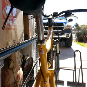 1996 Santa Cruz Heckler Yellow or Gold