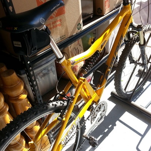 1996 Santa Cruz Heckler Yellow or Gold