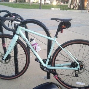 2017 Specialized Sequoia Green