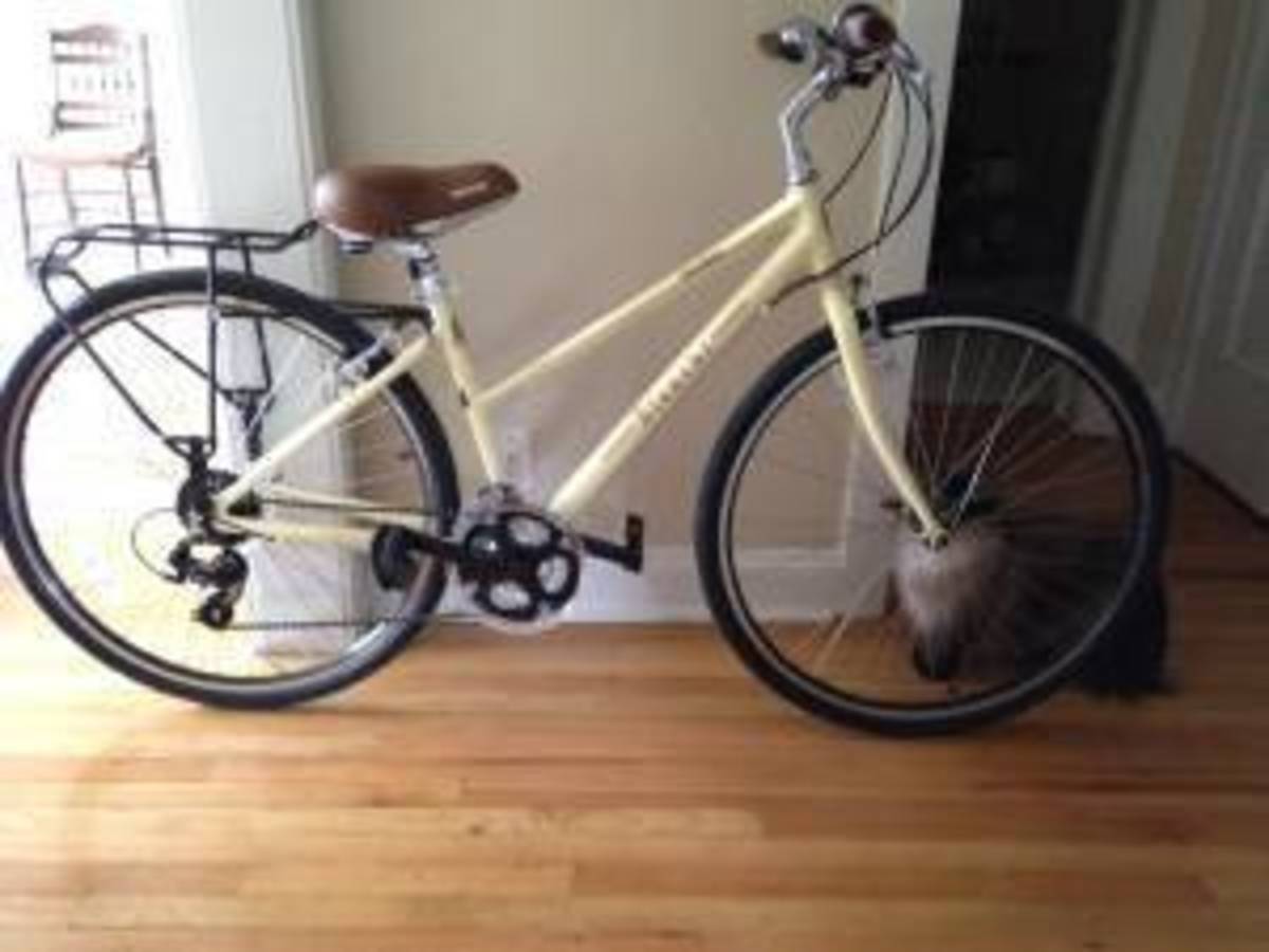 bianchi cortina 2020