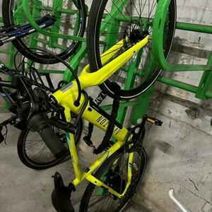 2022 Aventón Soltera Yellow or Gold