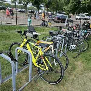 2022 Aventón Soltera Yellow or Gold