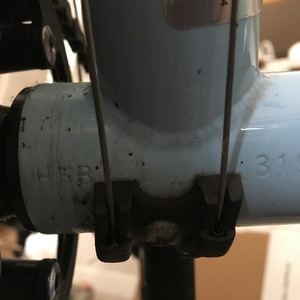 Bianchi Eros Donna Blue