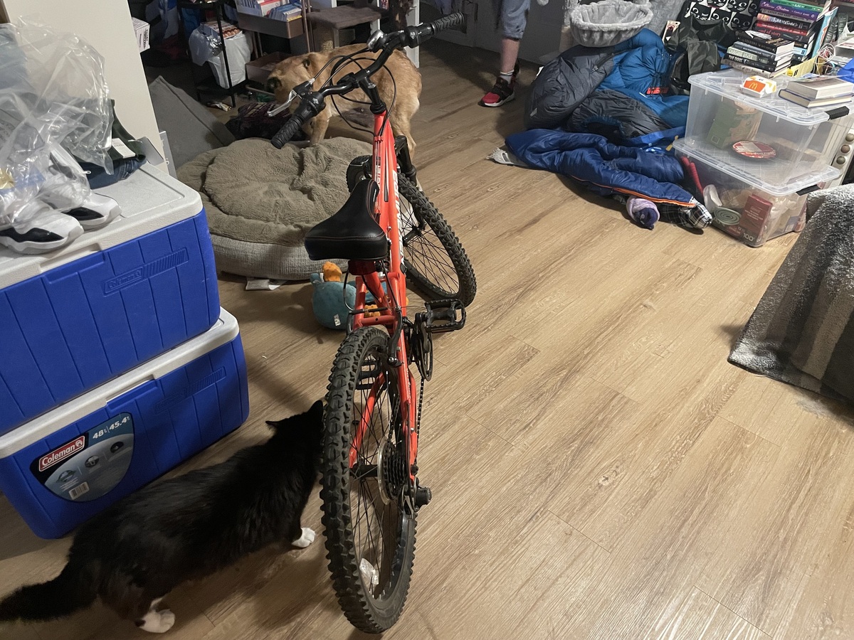 Bike photo