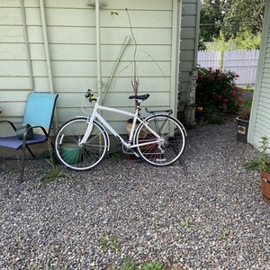 Specialized Allez A1 SE White