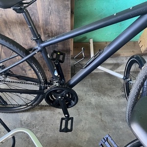 2024 Cannondale Trail 8 Black