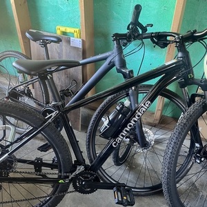 2024 Cannondale Trail 8 Black