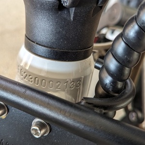 2023 Lectric eBikes Xpedition White