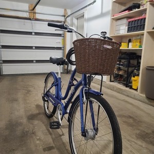 2024 Electra Townie 7D Eq Step