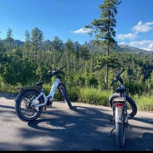 2022 Himiway Zebra Silver, gray or bare metal