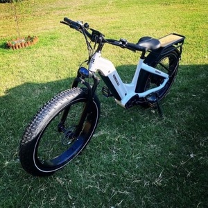 2022 Himiway Zebra Silver, gray or bare metal