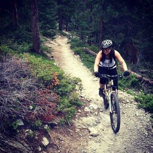 2008 Santa Cruz Juliana Brown