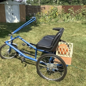 Worksman Cycles Team Dual, Blue