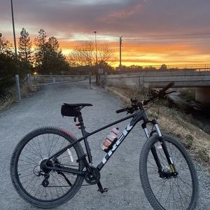 2022 Trek ML Silver, gray or bare metal