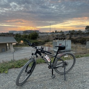 2022 Trek ML Silver, gray or bare metal