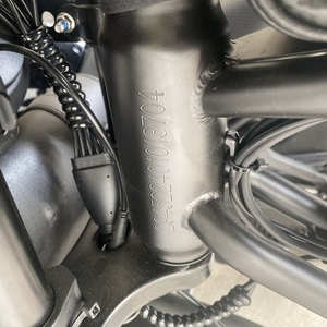 2024 Cycrown Cycrun Black