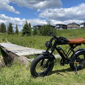 2024 Cycrown Cycrun Black