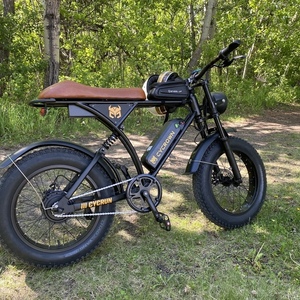 2024 Cycrown Cycrun Black