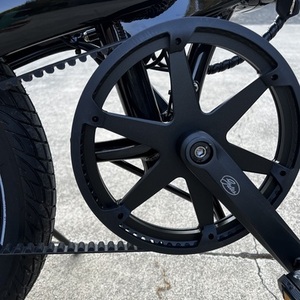 2024 Lectric eBikes XP Lite 2.0 JW Black Black