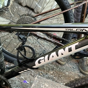 2023 Giant Talon Silver, gray or bare metal and White