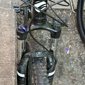 2023 Giant Talon Silver, gray or bare metal and White