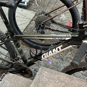 2023 Giant Talon Silver, gray or bare metal and White