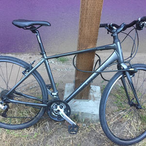 Giant Silver or Gray