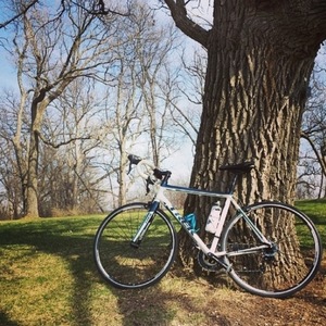 2013 Trek Lexa SL (Triple) White