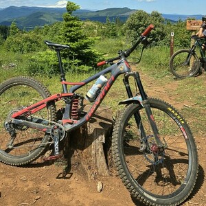 2019 Devinci Spartan Silver, gray or bare metal and Red