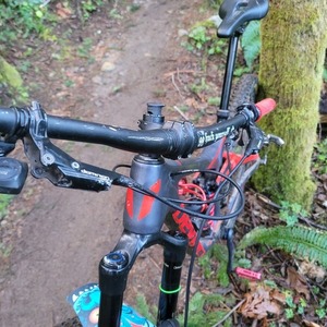 2019 Devinci Spartan Silver, gray or bare metal and Red