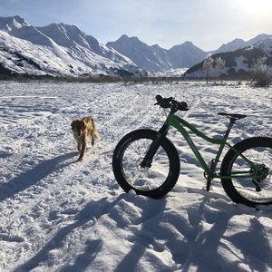 2016 9 zero 7 Whiteout Alloy Green