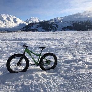 2016 9 zero 7 Whiteout Alloy Green