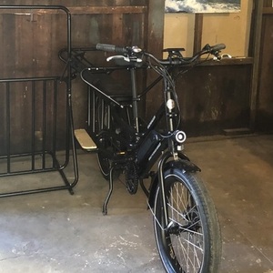 2021 Rad Power Bikes RadWagon 4 Black