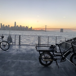 2021 Rad Power Bikes RadWagon 4 Black