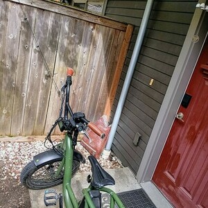 2024 Rad Power Bikes Rad runner 2 Green