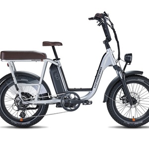 2022 Rad Power Bikes RadRunner Plus Silver, gray or bare metal