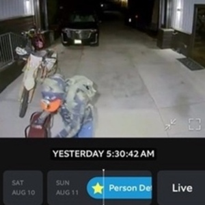 2022 Rad Power Bikes RadRunner Plus Silver, gray or bare metal