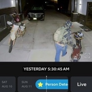 2022 Rad Power Bikes RadRunner Plus Silver, gray or bare metal