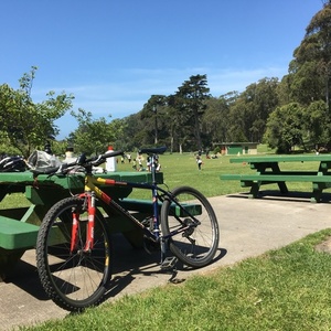 2001 gary fisher marlin