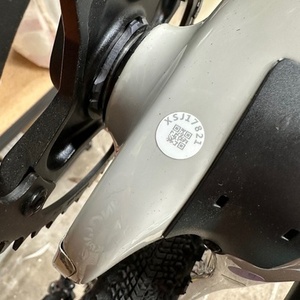 2024 Salsa Warbird C GRX 600 1x Silver, gray or bare metal