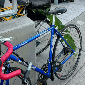 Bianchi Brava Blue