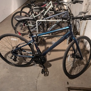 2024 Diamondback Lachine 2 Blue